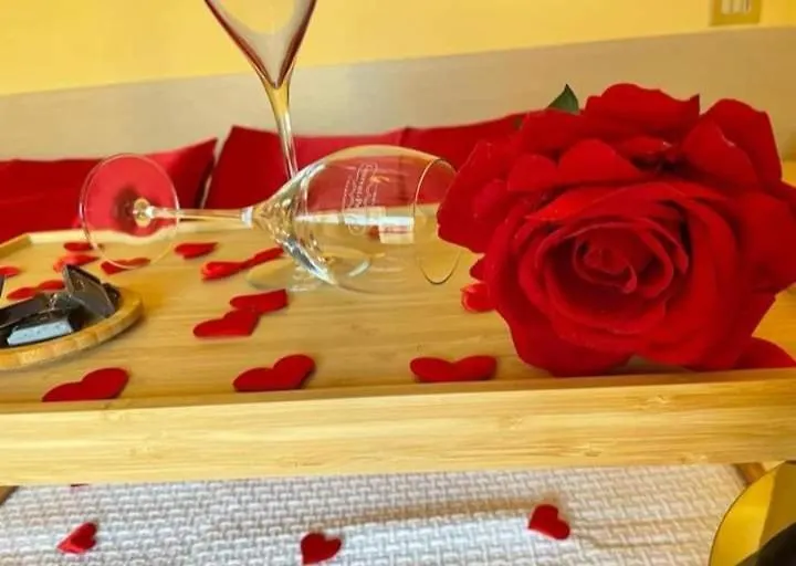 **  Hotel Festival ريميني إيطاليا